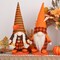 Thanksgiving Gnomes Plush Decorations – Cute Fall Harvest Figurines for Home, Office, Tiered Tray, Living Room, Table Display, 2-Piece Set